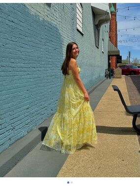 NWT Spring floral dress